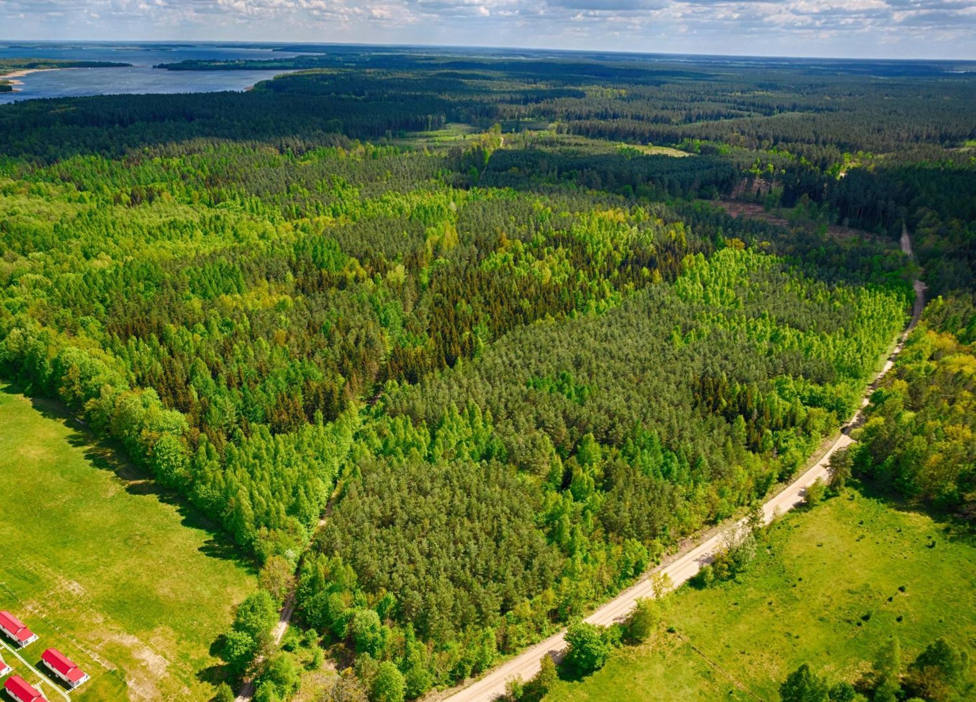 Osada Wilaneska Domki Mikolajki Mazury Exterior foto